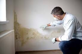 Best Airborne Mold Testing  in Milan, OH